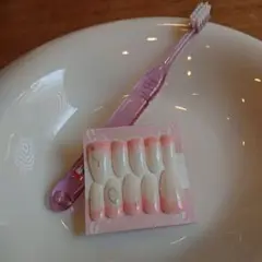 【現品】歯茎ネイルチップ