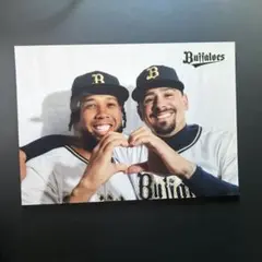 Item thumbnail for item b9cdd1b5-41ae-4576-9444-c0afac2f7c94