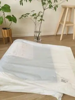 ★【新品未使用・未開封】ミニトゥルースリーパー　ごろ寝マット