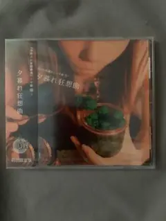 カミカゼ少年團／『国際式の妄想講座』〜中級（変）〜夕暮れ狂想曲　新品未開封