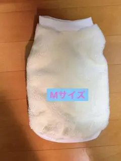 Item thumbnail for item a50272f4-928d-4051-9022-86ebb9ffe6a6