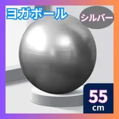□バランスボール　シルバー　トレーニング　ヨガボール　55cm