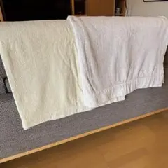 西川リビング　タオルケット　２枚セット　rem's home 140×200cm