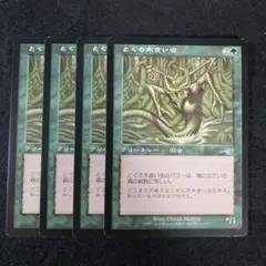 MTG　とぐろ木食い虫　日本語4枚セット