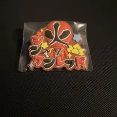 スーパー戦隊シリーズおなまえラバーバッジvol.1 シンケンレッド