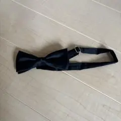 Item thumbnail for item 8b6f29bd-9638-4135-a5a5-91e7c2632240