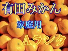 有田みかん 5kg 8