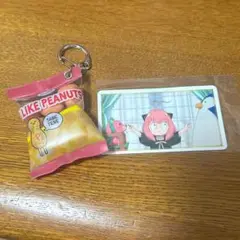 2025年最新】スパイファミリー usj ピーナッツの人気アイテム