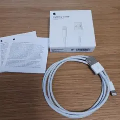 Apple Lightning to USB Cable 1m