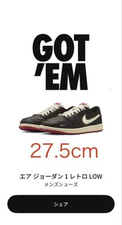 Nigel Sylvester × Nike Air Jordan 1