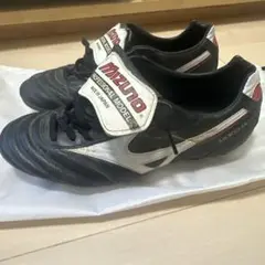 Mizuno Professional Model モレリア25.5cm