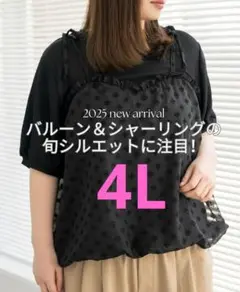 4L　バニラスタジオ　ビスチェ風プルオーバー　黒