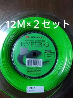 ソリンコハイパーG110 12Ｍ×２セット