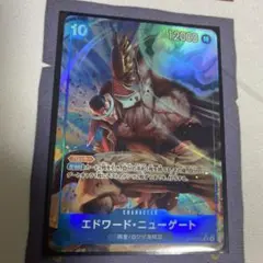 エドワード・ニューゲート　パラレル