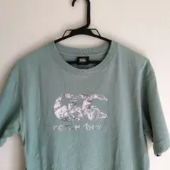 Canterbury ライトグリーン コットン Tシャツ BIGロゴ M