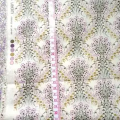 Item thumbnail for item 309d46a4-731b-4d6c-ba28-b26ad16cee5a