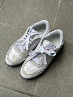 Item thumbnail for item ee668f84-3b41-4665-b61f-56832826a048