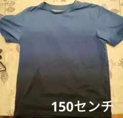 週末価格　150サイズ グラデーション Tシャツ　ユニクロ