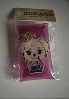 三代目 JSB KINGDOM キャラクタークリアケース 岩田剛典