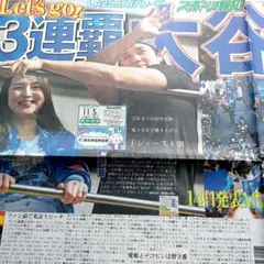 Item thumbnail for item 9a2a0d51-19ff-4678-899a-7639e6df6cbf