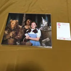 未開封 オズの魔法使い ディズニー 色紙