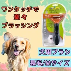 Item thumbnail for item d22adfb8-66f4-4d1e-a0ee-86733c5db01c