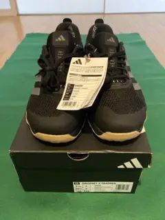 Item thumbnail for item 306e55f4-bd84-45b0-a9e0-ae2a9112238f