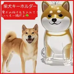 Item thumbnail for item cf4e3f72-4975-41f3-9027-75b73458e493