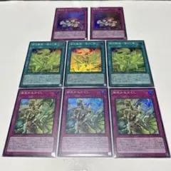 Item thumbnail for item c5c14ebf-03b1-4297-be3b-947f4036f3c6