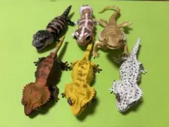 爬虫類　フィギュア　6個セット