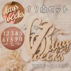 フォトフロップス マンスリーフォト マタニティーフォト ニューボーンフォト