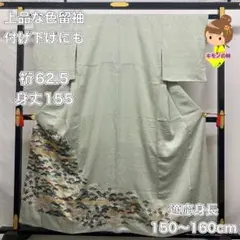 上品な色留袖 付け下げにも 正絹 袷 着物 13