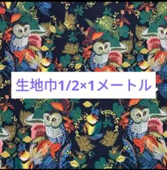 アレキサンダーヘンリー“/harvest owl”/55×50/820