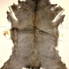 特大鹿皮 オス エゾシカ冬毛 蝦夷鹿 毛皮敷物 登山 ファーラグマット キャンプ
