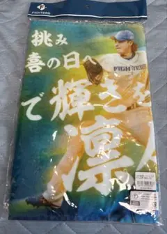 山﨑福也　応援歌フェイスタオル
