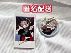 CRAZY RACCOON CRフェス チェキ 缶バッジ だるまいずごっと