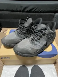 最安値スタート‼️　断捨離品 ASICS アンプレアルスLOW2　28cm