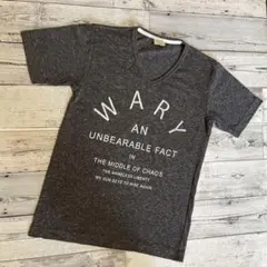 希少✨メンズ　半袖　Vネック　Tシャツ　霜降り　ロゴプリント　M