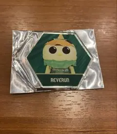 東京ヴェルディ リヴェルン マグネット