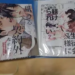 商業 BL 　組み換え可能　リーフレット　小冊子　ペーパー