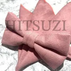 Item thumbnail for item 3b14b20a-1b8e-4b94-a521-1a22905c74f1