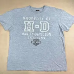 ハーレーダビッドソン Tシャツ グレー 両面ロゴ バイク XL