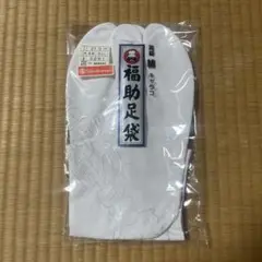 Item thumbnail for item 235b9174-62a3-477f-893a-c60682fa8abc