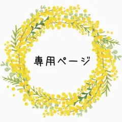 専用ページ