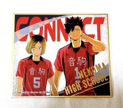 音駒高校 CONNECT キャラクターグッズ　敷調