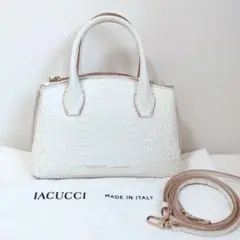 美品 イアクッチ ベラール ヴェラ ハンドバッグ ショルダーバッグ レザー S