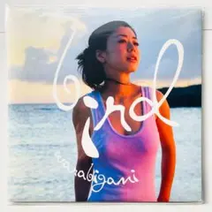bird 童神　限定10inc USED]BIRD / 童神 / 10