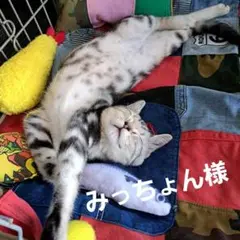 ★ご専用★