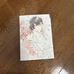 新書館 セブンティーンシロップス