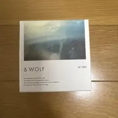 Item thumbnail for item 4b612144-44b1-4c1e-9ef4-5d57f8d7a18e